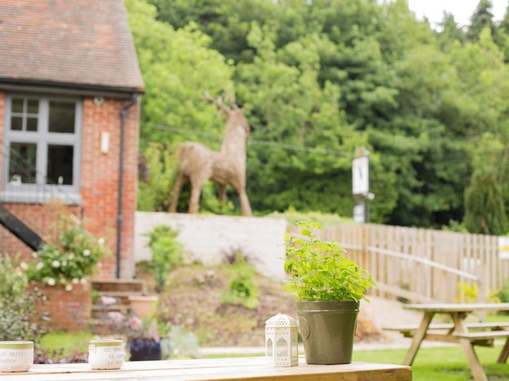 The Roebuck Inn Shedfield Екстер'єр фото